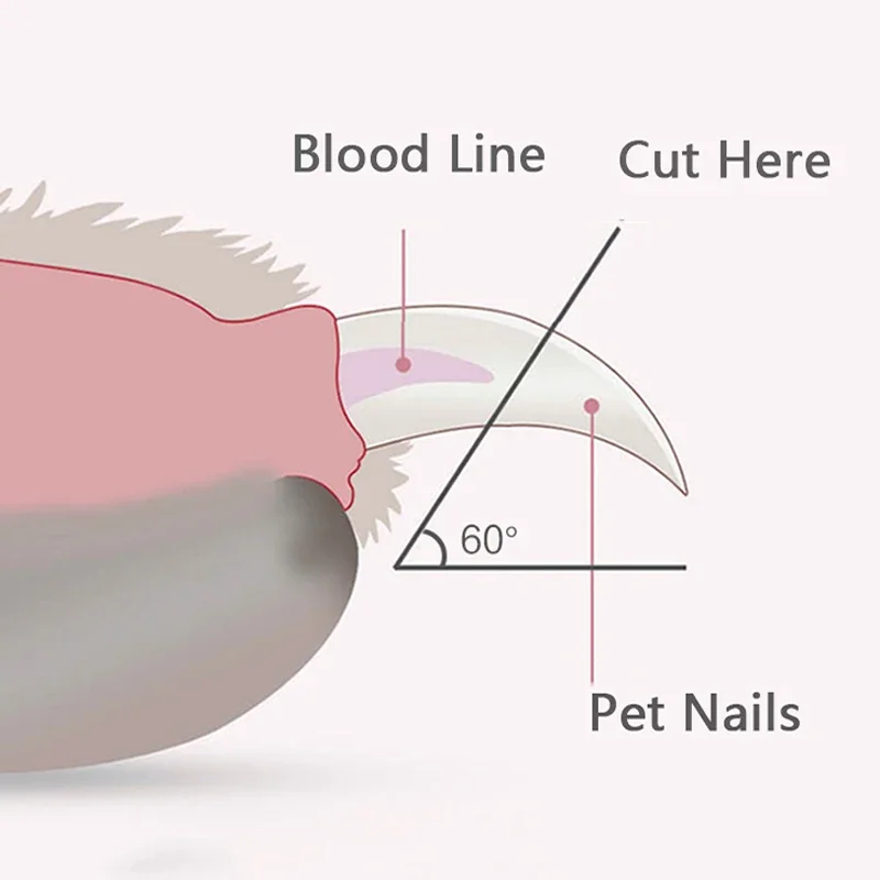 Safe Pet Nail Clippers with LED Light,Professional Claw Grooming Scissors Trimmer for Dogs Cats Rabbits,Stainless Steel Portable - Image 5